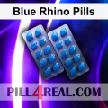 Blue Rhino Pills 763