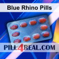 Blue Rhino Pills 870