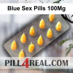Blue Sex Pills 100Mg 114