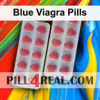 Blue Viagra Pills 284