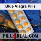 Blue Viagra Pills 744