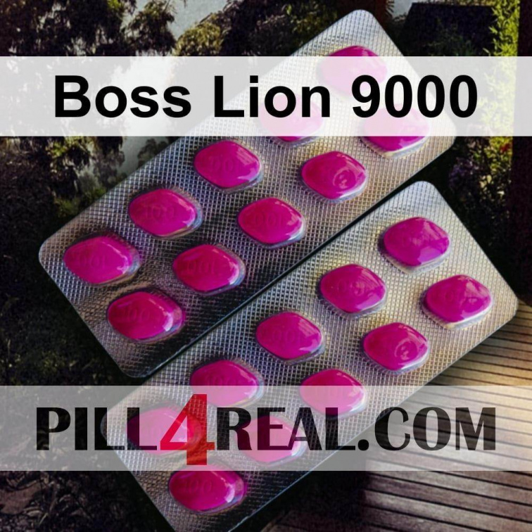 Boss Lion 9000 034