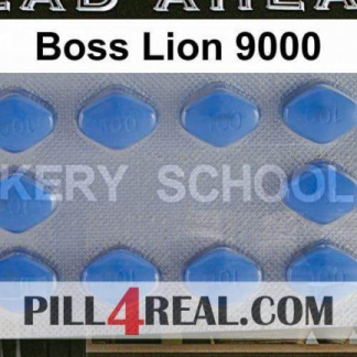 Boss Lion 9000 049
