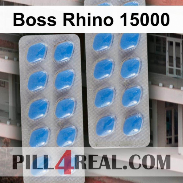 Boss Rhino 15000 165