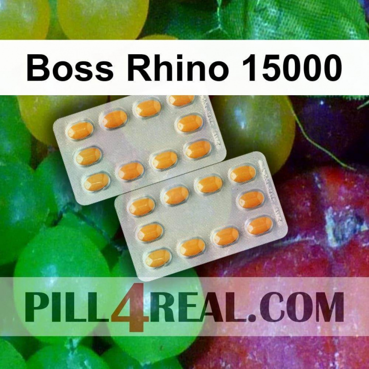 Boss Rhino 15000 270