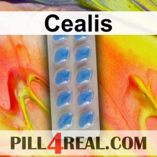 Cealis 021