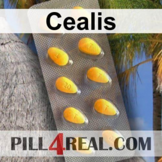 Cealis 031