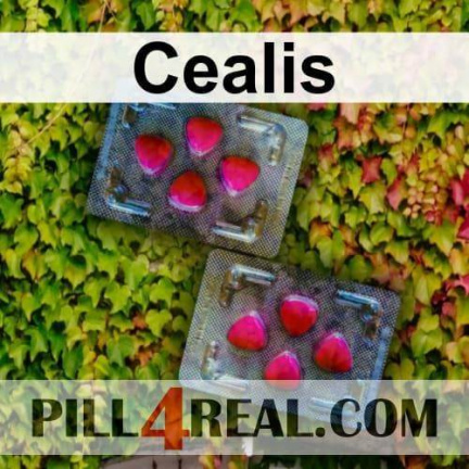 Cealis 461