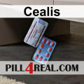 Cealis 981