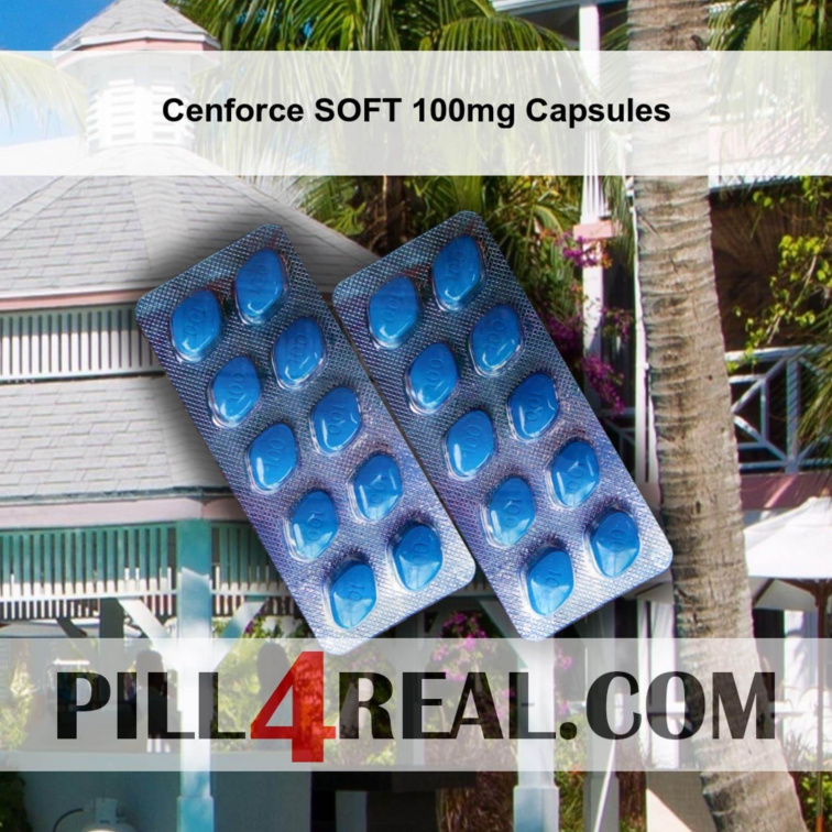 Cenforce SOFT 100mg Capsules 539