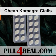 Cheap Kamagra Cialis 009