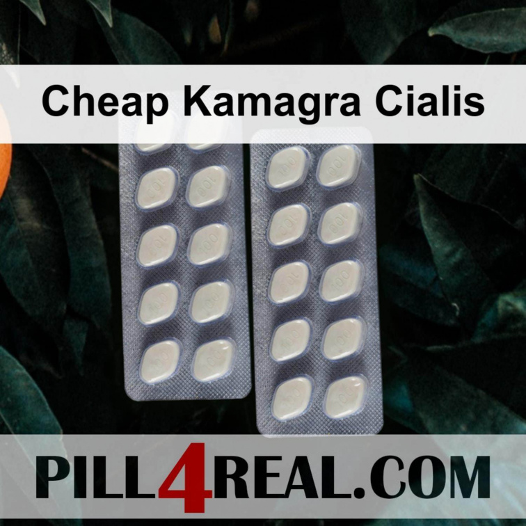 Cheap Kamagra Cialis 009
