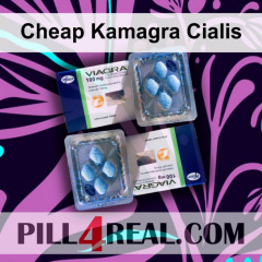Cheap Kamagra Cialis 013