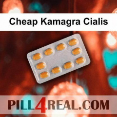 Cheap Kamagra Cialis 022