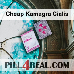 Cheap Kamagra Cialis 049