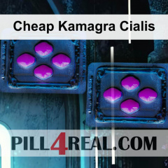 Cheap Kamagra Cialis 175