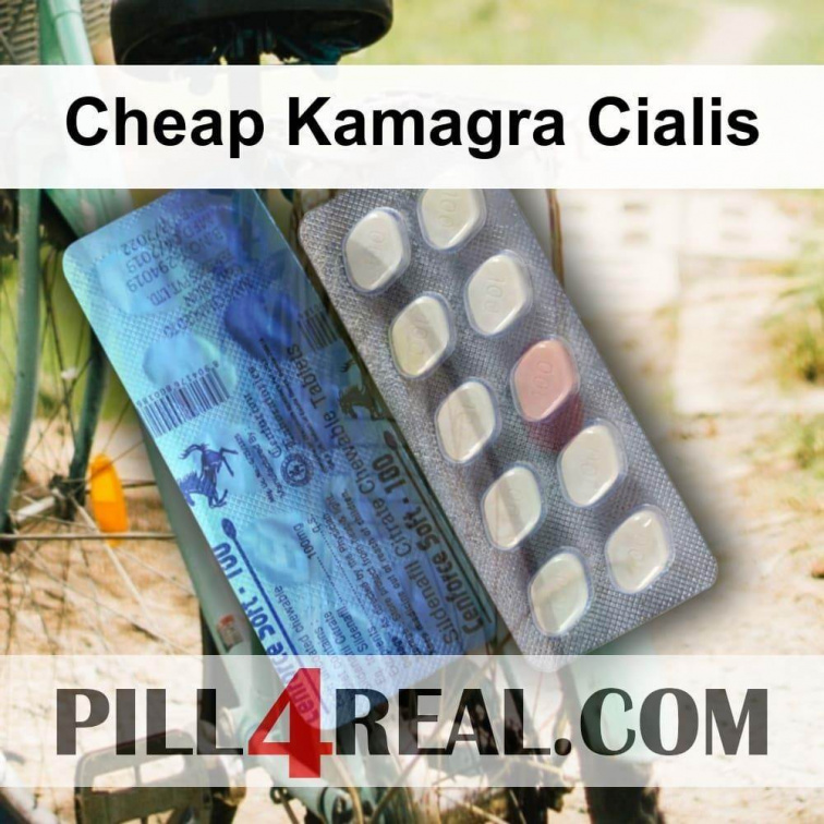 Cheap Kamagra Cialis 221