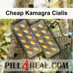 Cheap Kamagra Cialis 367