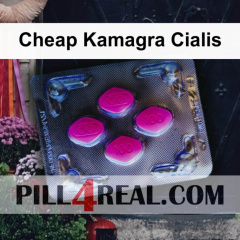 Cheap Kamagra Cialis 441