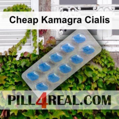 Cheap Kamagra Cialis 664