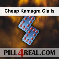 Cheap Kamagra Cialis 670