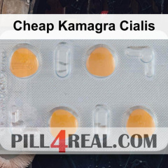Cheap Kamagra Cialis 699