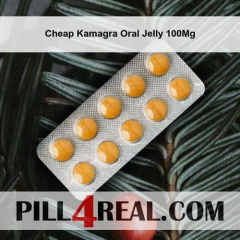 Cheap Kamagra Oral Jelly 100Mg 299