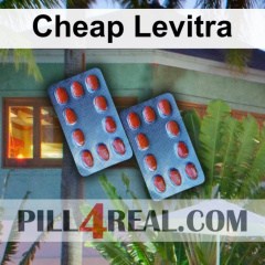 Cheap Levitra 017