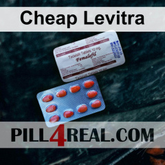 Cheap Levitra 088
