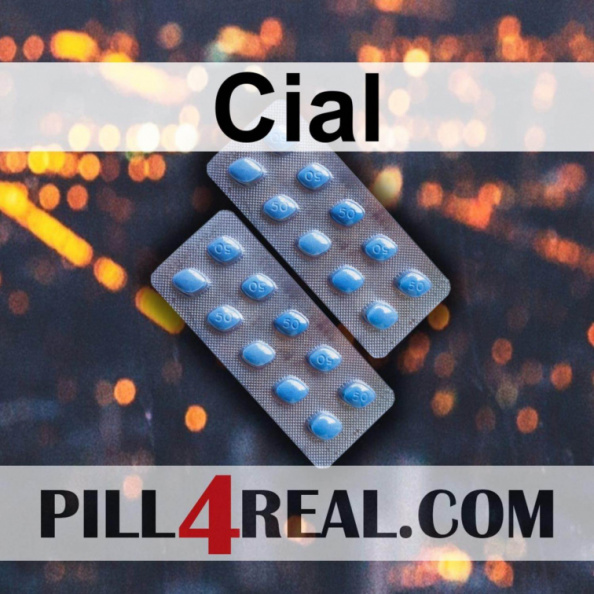 Cial_007.jpg