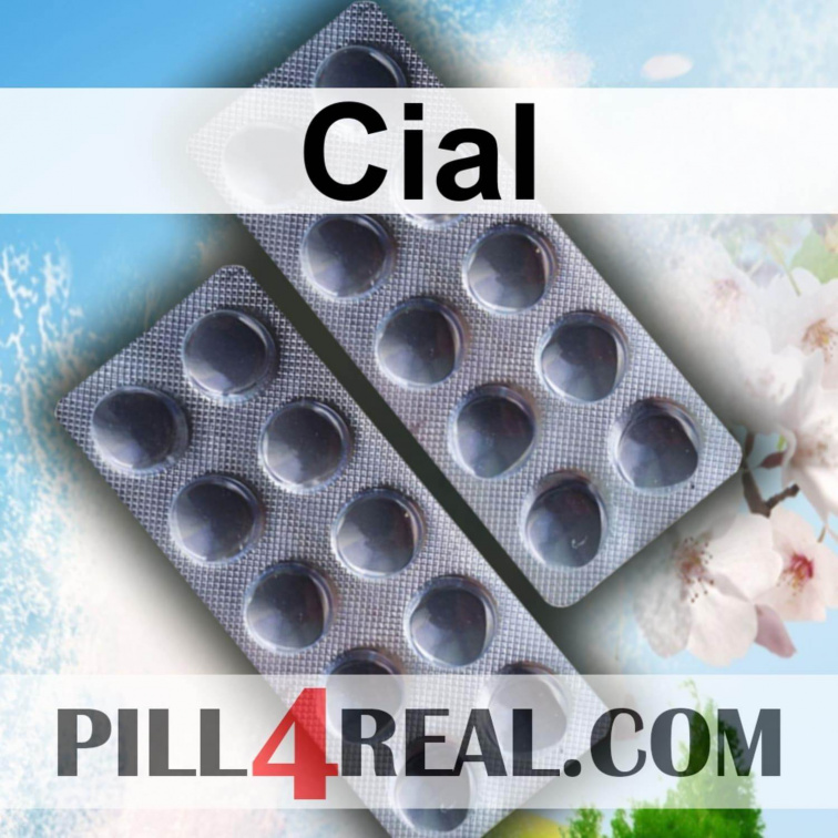 Cial 049