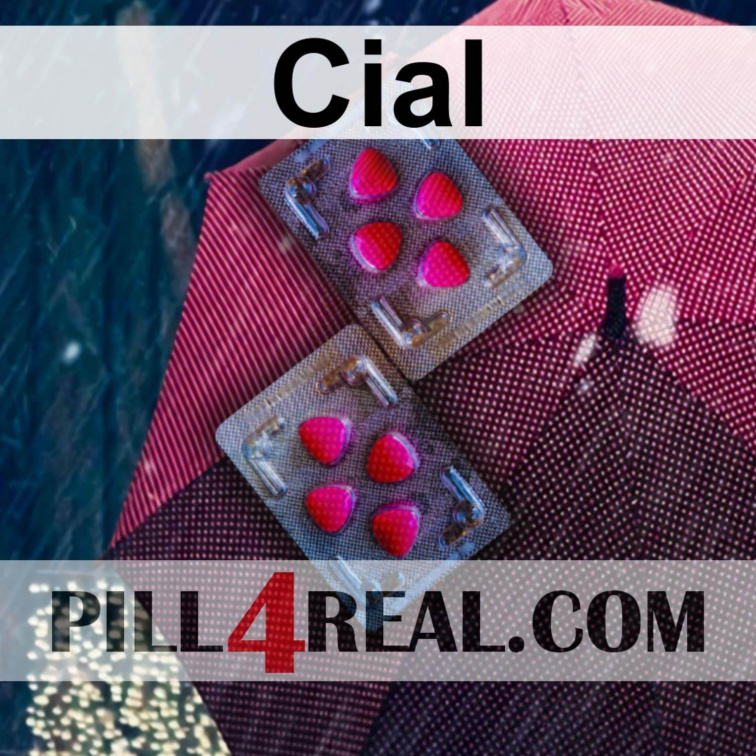Cial 139