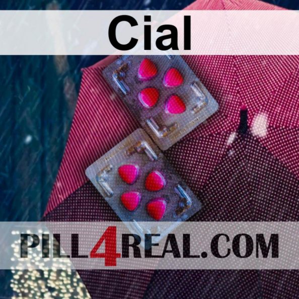 Cial_139.jpg