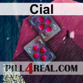 Cial 139