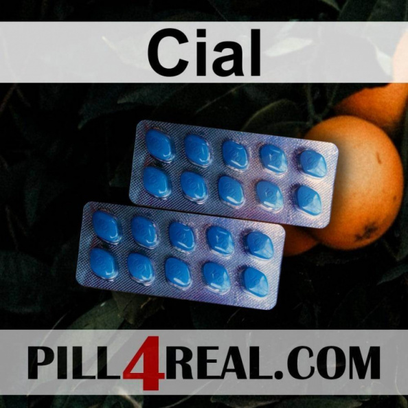 Cial 216