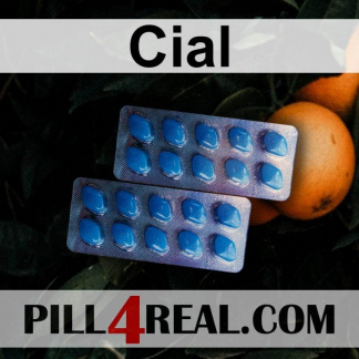 Cial 216