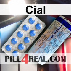 Cial 221