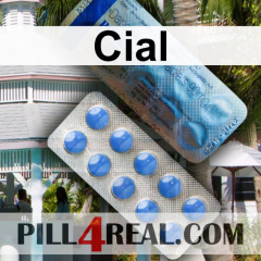 Cial 275