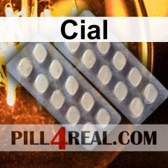Cial 310
