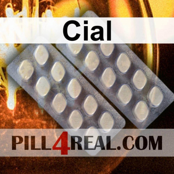 Cial_310.jpg
