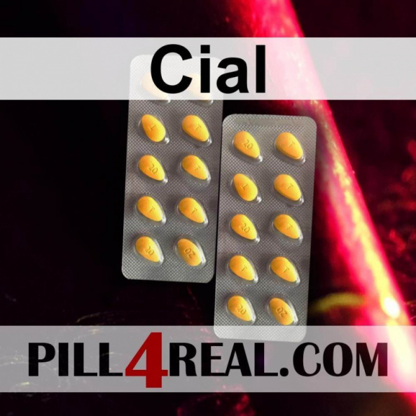 Cial_322.jpg