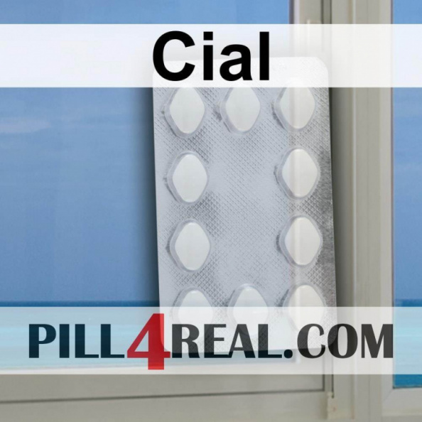 Cial 329