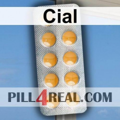 Cial 363