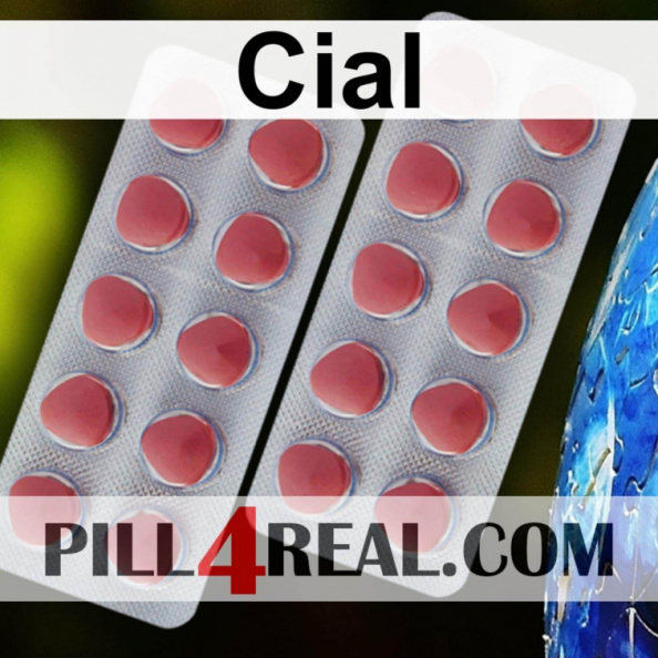 Cial_385.jpg