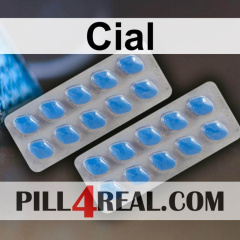 Cial 450