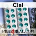 Cial 496