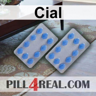 Cial 513