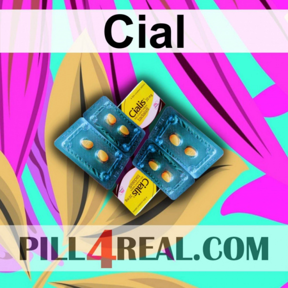 Cial_540.jpg