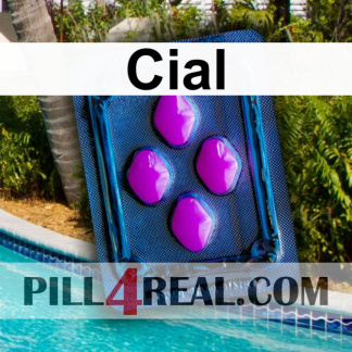 Cial 554