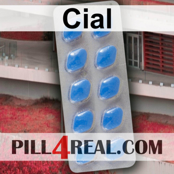 Cial_560.jpg